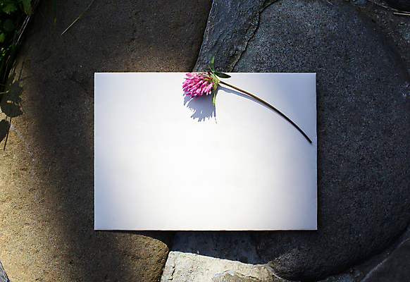 포토 JPG 해외이미지 꽃 리본 종이 꽃다발 프레임 타이포그라피 사람없음 클로버 책상 목업 해외202004 해외포토 식물 문자 가구 파일형식 이미지허브