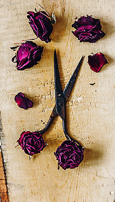 포토 JPG 해외이미지 식물 디자인 꽃잎 꽃 분홍색 백그라운드 컨셉 꽃무늬 탁자 휴가 건조 발렌타인데이 사랑 사람없음 목재 장식 빨간색 장미 검은색 수확 벚꽃 시골 축하 작업실 우아함 자르기 심볼 부식 꽃봉오리 복고 옛날 정물화 스타일 해외202004 해외포토 나무 감정 컬러 가구 무늬 농업 재료 모션 데이이벤트 그림 파일형식 이미지허브