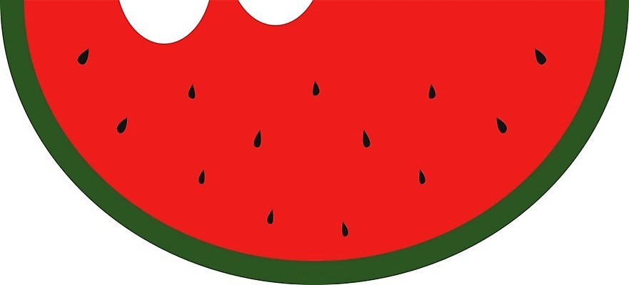 EPS 해외이미지 클립아트 2 일러스트 수박 씨앗 빨간색 초록색 검은색 주스 매끈함 피부 그림 슬라이스 노출 해외202004 해외일러스트 식물 음료 컬러 과일 신체부위 감각 파일형식 벡터 이미지허브