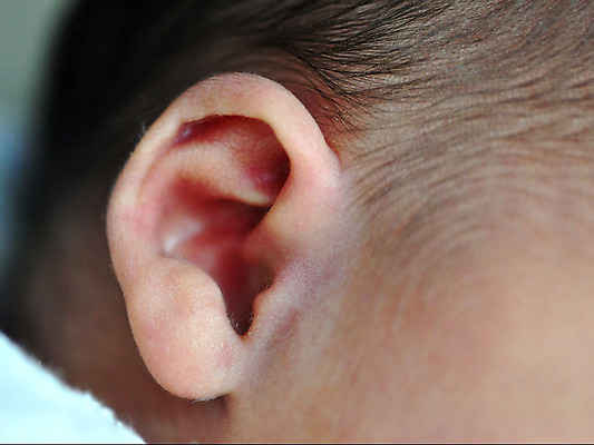 포토 JPG 해외이미지 신체 사람 사람없음 머리 아기 신생아 닫기 귀 부드러움 해외202004 해외포토 모션 신체부위 감각 파일형식 이미지허브