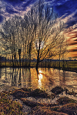 포토 JPG 해외이미지 나무 구름 호수 겨울 자연 하늘 풍경 사람없음 물 태양 일몰 이탈리아 연못 땅 해외202004 해외포토 자연요소 식물 계절 유럽 노을 생태계 파일형식 이미지허브