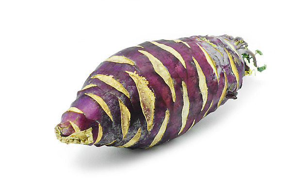 포토 JPG 해외이미지 식물 디자인 음료 음식 백그라운드 잎 채소 재료 부분 건강 요리 사람없음 초록색 정원 보라색 샐러드 흰색 신선 그룹 달콤 먹기 오브젝트 유기농 원예 날것 뿌리 보충 고립 비트 숙성 채식주의자 해외202004 해외포토 웰빙 컬러 모션 취미 맛 채식 파일형식 이미지허브