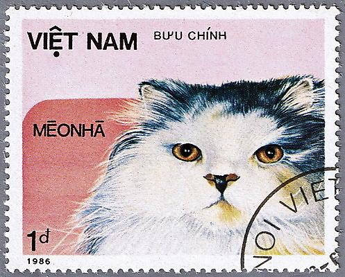 포토 JPG 해외이미지 동물 통신 포유류 봉투 주택 취미 사람없음 반려동물 머리 고양이 수확 신용카드 편지 수집 엽서 베트남 패키지 우표 고립 편지쓰기 해외202004 해외포토 농업 건물 신체부위 금융 동남아시아 기록 파일형식 이미지허브