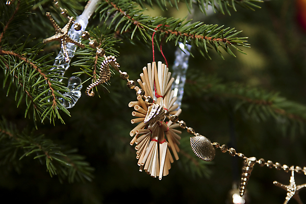 포토 JPG 해외이미지 나무 전통 행복 크리스마스 겨울 주택 선물 이벤트 사람없음 장식 빨간색 초록색 파란색 쇼핑 크리스마스트리 놀람 기쁨 흰색 황금 은색 12월 반가움 크리스마스이브 해외202004 해외포토 식물 계절 기념일 감정 컬러 표정 건물 날짜 파일형식 이미지허브