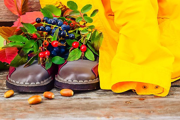 포토 JPG 해외이미지 식물 옷 공원 열매 꽃 어린이 음식 분홍색 신발 잎 크리스마스 2 벤치 과일 자연 포도 새로움 부츠 건강 사람없음 목재 장식 빨간색 초록색 장미 갈색 유행 산책 가을 흰색 아기 신선 쌍 샌들 가죽 다발 오브젝트 고무 내추럴 고립 숙성 양발 총각무 스타일 해외202004 해외포토 나무 계절 공공시설 기념일 컬러 컨셉 의자 재료 휴식 사람 무 생태계 파일형식 이미지허브