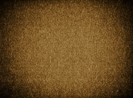 포토 JPG 해외이미지 템플릿 디자인 종이 벽 백그라운드 잎 크리스마스 꽃무늬 패턴 자연 벽지 표면 추상 새로움 미술 사람없음 장식 빛 갈색 노란색 유행 축제 수확 골동품 흰색 화려 황금 클래식 고급 우아함 연도 타일 질감 복고 바로크 빅토리아 해외202004 해외포토 식물 기념일 꽃 컬러 컨셉 무늬 농업 문화예술 생태계 파일형식 이미지허브