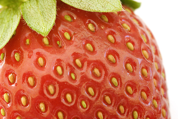 포토 JPG 해외이미지 열매 음식 과일 재료 표면 요리 사람없음 빨간색 신선 비타민C 숙성 해외202004 해외포토 식물 컬러 비타민 파일형식 이미지허브