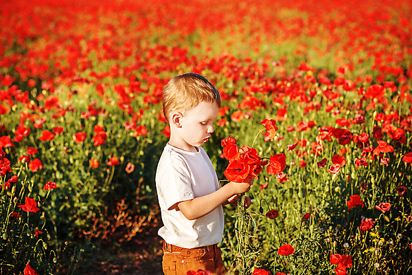 포토 JPG 해외이미지 라이프스타일 남자 꽃 행복 감정 어린이 꽃다발 포즈 꽃무늬 밭 자연 놀이 휴식 건강 한명 웃음 소년 야외 빨간색 컬러풀 맑음 봄 기쁨 육아 자유 시골 표현 아기 뜨거움 달콤 허브 양귀비 걸음마 혼자 해외202004 해외포토 식물 1 계절 컬러 컨셉 무늬 농업 모션 날씨 표정 사람 생활 맛 생태계 파일형식 이미지허브