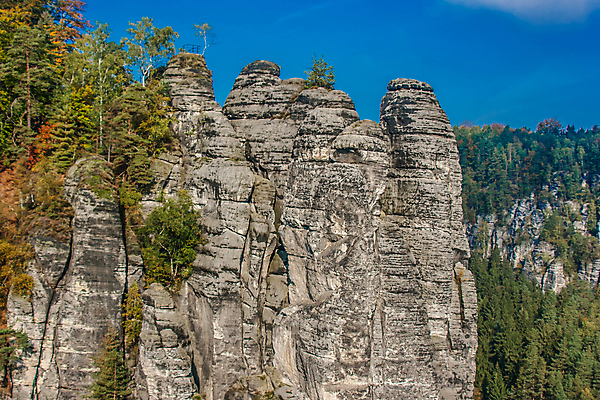 포토 JPG 해외이미지 주간 나무 공원 여행 자연 하늘 산 풍경 사람없음 야외 환경 골짜기 계곡 숲 삼림지대 전국 지질학 해외202004 해외포토 자연요소 식물 공공시설 교육 생태계 파일형식 이미지허브