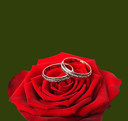 포토 JPG 해외이미지 커플 기념일 꽃잎 꽃 결혼 백그라운드 2 텍스트 결혼식 발렌타인데이 선물 사랑 사람없음 빨간색 초록색 장미 금속 반지 쌍 원형 황금 보석 심볼 꽃봉오리 향기 초대 약혼 고립 카피스페이스 해외202004 해외포토 도형 식물 감정 컬러 장신구 관계 데이이벤트 재질 이벤트 공백 광석 약속 냄새 파일형식 이미지허브