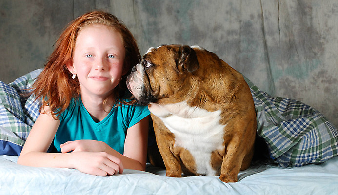 포토 JPG 해외이미지 한마리 응시 여자 어린이 엎드리기 휴식 실내 한명 상반신 앞모습 반려동물 침실 이불 침대 개 소녀한명만 잉글리쉬불독 해외202004 해외포토 동물 1 시선 뷰포인트 가구 컨셉 포유류 침구 모션 사람 내부 불독 여자한명만 소녀만 파일형식 이미지허브