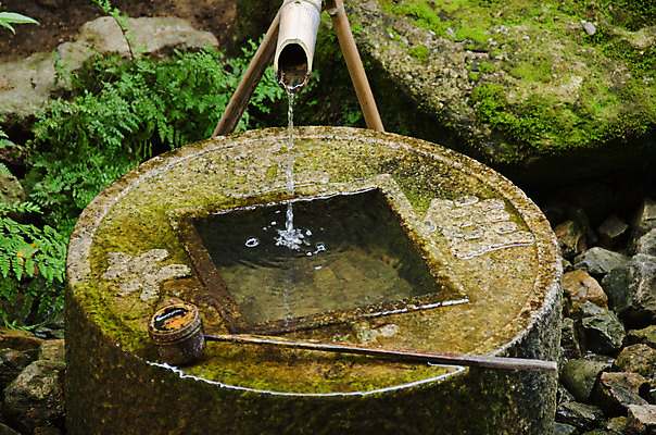 포토 JPG 해외이미지 전통 공원 아시아 종교 문화 선 여행 모션 자연 동양인 사람없음 야외 초록색 물 평화 정원 일본 흐름 바위 사찰 개울 의식 재산 붓기 떨어짐 씻기 빨래 당구 대나무 묘사 분수 정사각형 교토 사당 해외202004 해외포토 자연요소 도형 나무 공공시설 나라 컬러 컨셉 가사 종교건축 인종 금융 강 구기 청결 돌_바위 생태계 파일형식 이미지허브