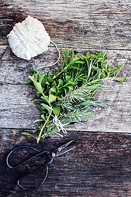 포토 JPG 해외이미지 식물 줄 음식 백그라운드 잎 재료 탁자 건강 종류 사람없음 목재 수확 골동품 시골 신선 변화 실 코드 자르기 다발 묶기 허브 향신료 보따리 준비 유기농 매듭 성분 라벤더 로즈메리 내추럴 옛날 오레가노 해외202004 해외포토 나무 웰빙 꽃 가구 컨셉 농업 모션 향미료 파일형식 이미지허브