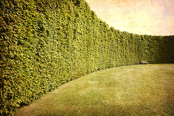 포토 JPG 해외이미지 공원 곡선 벤치 덴마크 창조 잔디 사람없음 야외 가로 울타리 햇빛 정원 방 수확 골동품 도시 시간 얼룩 복고 엽서 스크래치 그런지 썩음 옛날 스타일 해외202004 해외포토 식물 공공시설 선 농업 의자 북유럽 담장 태양 편지 파일형식 이미지허브