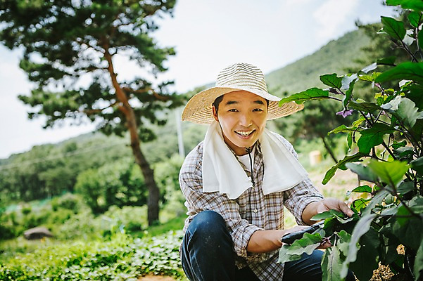 포토 JPG 주간 모자 남자 40대 채소 자연 가지 관리 한명 사람 동양인 성인 야외 농작물 수건 농장 농사 한국인 농부 유기농 밭일 남자만 남자한명만 성인남자만 성인한명만 성인남자한명만 중년만 중년남자만 중년남자한명만 성인만 소상공인 국내포토 자연요소 직업 1 웰빙 잡화 중년 농업 인종 경제 위생용품 상인 생태계 파일형식