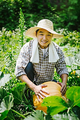 포토 JPG 주간 모자 남자 40대 채소 자연 호박 한명 사람 동양인 성인 야외 농작물 수건 농장 농사 한국인 농부 유기농 밭일 남자만 남자한명만 성인남자만 성인한명만 성인남자한명만 중년만 중년남자만 중년남자한명만 성인만 소상공인 국내포토 자연요소 직업 1 웰빙 잡화 중년 농업 인종 경제 위생용품 상인 생태계 파일형식