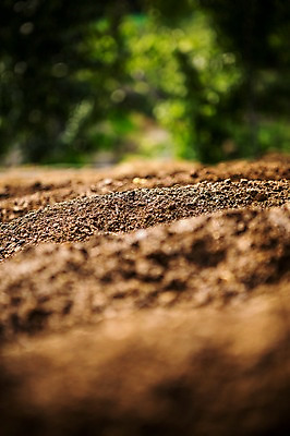 포토 JPG 주간 백그라운드 자연 사람없음 야외 농장 농경지 농사 흙 땅 유기농 국내포토 자연요소 웰빙 농업 생태계 파일형식