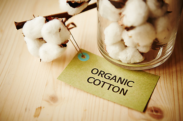 포토 JPG 스튜디오촬영 배경화면 백그라운드 실내 사람없음 솜 유기농 목화솜 국내포토 웰빙 내부 파일형식