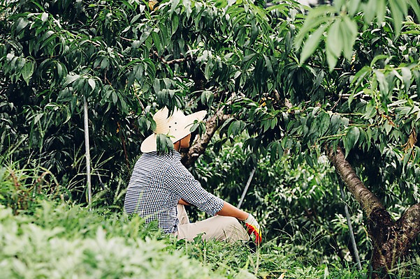 포토 JPG 주간 남자 40대 자연 휴식 한명 사람 앉기 성인 야외 농장 농사 농부 유기농 남자만 남자한명만 성인남자만 성인한명만 성인남자한명만 중년만 중년남자만 중년남자한명만 성인만 국내포토 자연요소 직업 1 웰빙 중년 컨셉 농업 모션 생태계 파일형식
