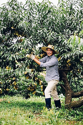 포토 JPG 주간 전신 모자 남자 40대 과일 자연 관리 장화 한명 미소 사람 동양인 성인 야외 농장 농사 한국인 농부 과일나무 유기농 복숭아 복사나무 남자만 남자한명만 성인남자만 성인한명만 성인남자한명만 중년만 중년남자만 중년남자한명만 성인만 국내포토 자연요소 나무 직업 1 웰빙 잡화 중년 신발 농업 표정 인종 생태계 파일형식