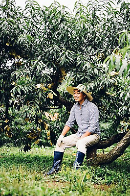 포토 JPG 주간 모자 남자 40대 과일 자연 휴식 관리 한명 사람 앉기 동양인 성인 야외 농장 농사 한국인 농부 과일나무 유기농 복숭아 복사나무 남자만 남자한명만 성인남자만 성인한명만 성인남자한명만 중년만 중년남자만 중년남자한명만 성인만 국내포토 자연요소 나무 직업 1 웰빙 잡화 중년 컨셉 농업 모션 인종 생태계 파일형식