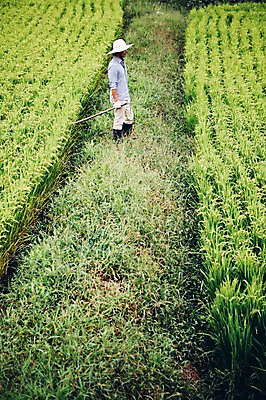 포토 JPG 주간 전신 모자 남자 40대 자연 논 장화 한명 서기 사람 성인 야외 농장 농사 농부 유기농 곡괭이 남자만 남자한명만 성인남자만 성인한명만 성인남자한명만 중년만 중년남자만 중년남자한명만 성인만 국내포토 자연요소 직업 1 웰빙 잡화 중년 신발 농업 모션 생태계 파일형식