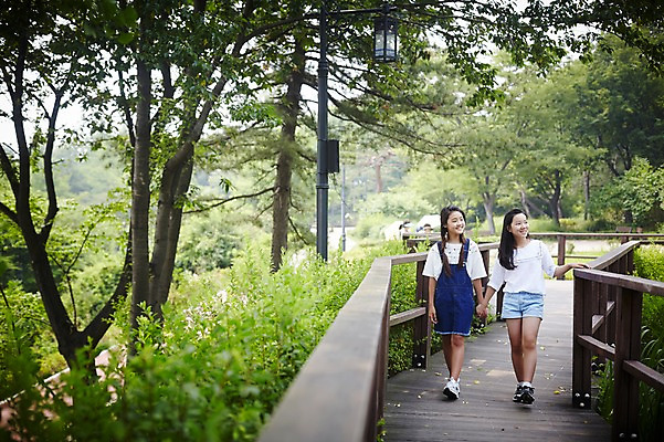 포토 JPG 주간 전신 공원 여자 고등학생 서울 한국 서기 미소 사람 동양인 야외 두명 앞모습 10대 캐주얼 친구 걷기 손잡기 우정 한국인 남산 가교 여자만 십대만 십대여자만 국내포토 자연요소 학생 건축물 옷 공공시설 아시아 뷰포인트 관계 모션 청소년 표정 인종 랜드마크 파일형식