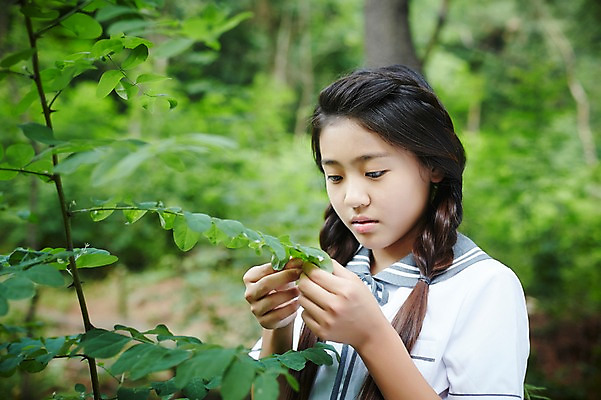 포토 JPG 주간 응시 여학생 여자 교복 여고생 고등학생 나뭇잎 서울 한국 한명 사람 동양인 상반신 야외 10대 만지기 한국인 관찰 숲 호기심 남산 여자만 여자한명만 십대만 십대여자만 십대여자한명만 국내포토 자연요소 1 학생 시선 옷 감정 아시아 컨셉 잎 모션 청소년 인종 랜드마크 파일형식