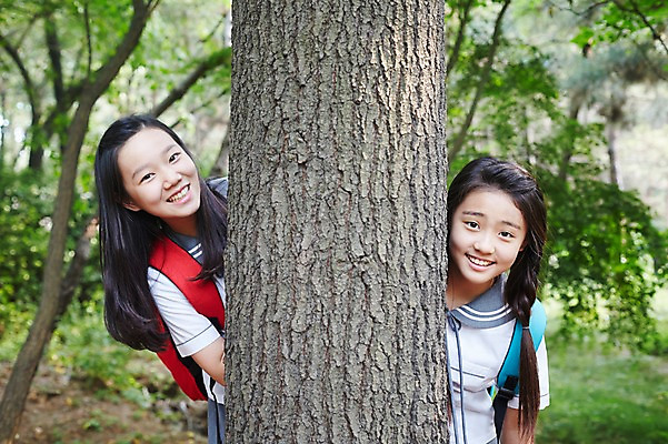 포토 JPG 주간 나무 여학생 여자 교복 양갈래머리 여고생 고등학생 책가방 서울 한국 서기 미소 사람 동양인 상반신 야외 두명 앞모습 10대 친구 우정 한국인 숲 나무기둥 백팩 남산 숨기 여자만 십대만 십대여자만 국내포토 자연요소 식물 학생 헤어스타일 옷 아시아 뷰포인트 가방 관계 모션 청소년 표정 인종 랜드마크 파일형식
