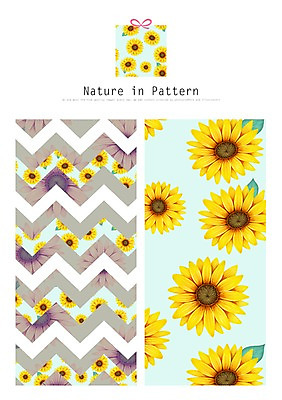 PSD 식물 디자인 꽃 ZIP 리본 백그라운드 패턴 일러스트 자연 나뭇잎 해바라기 사람없음 선물상자 활용 목업 국내일러스트 컨셉 잎 무늬 선물 상자 생태계 파일형식