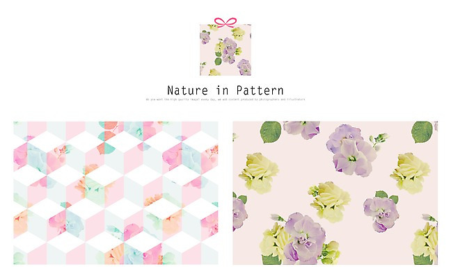 PSD 식물 디자인 꽃 ZIP 리본 백그라운드 패턴 일러스트 자연 나뭇잎 사람없음 선물상자 활용 목업 국내일러스트 컨셉 잎 무늬 선물 상자 생태계 파일형식