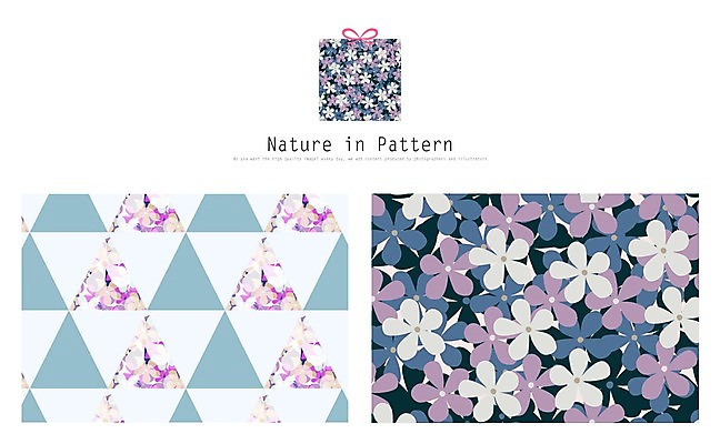 PSD 식물 디자인 꽃 ZIP 리본 백그라운드 패턴 일러스트 자연 나뭇잎 사람없음 선물상자 활용 목업 국내일러스트 컨셉 잎 무늬 선물 상자 생태계 파일형식
