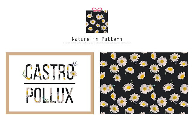 PSD 식물 디자인 꽃 ZIP 리본 백그라운드 패턴 일러스트 자연 사람없음 선물상자 마거리트 활용 목업 국내일러스트 컨셉 무늬 선물 상자 생태계 파일형식