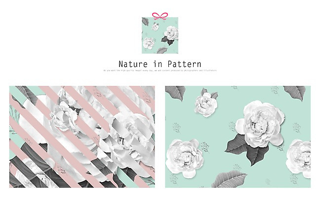 PSD 식물 디자인 꽃 ZIP 리본 백그라운드 패턴 일러스트 자연 나뭇잎 사람없음 선물상자 활용 목업 국내일러스트 컨셉 잎 무늬 선물 상자 생태계 파일형식