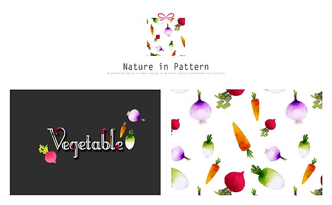 PSD 디자인 ZIP 리본 백그라운드 패턴 채소 일러스트 자연 양파 사람없음 선물상자 당근 무 비트 활용 목업 국내일러스트 컨셉 무늬 뿌리채소 선물 상자 생태계 파일형식