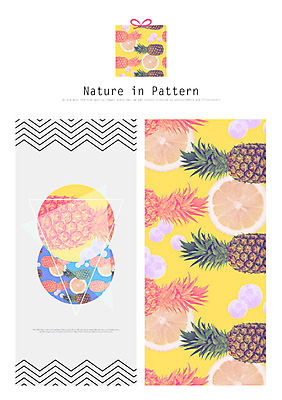 PSD 디자인 ZIP 리본 백그라운드 패턴 오렌지 과일 일러스트 자연 사람없음 선물상자 파인애플 블루베리 활용 목업 국내일러스트 컨셉 무늬 선물 상자 열대과일 생태계 파일형식