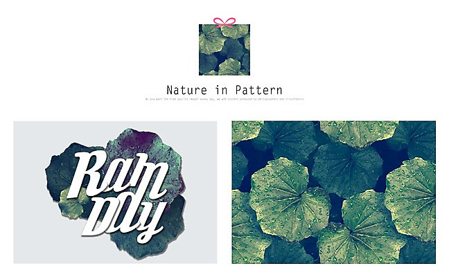 PSD 식물 디자인 ZIP 리본 백그라운드 잎 패턴 일러스트 자연 나뭇잎 사람없음 선물상자 활용 목업 국내일러스트 컨셉 무늬 선물 상자 생태계 파일형식