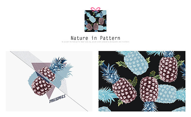 PSD 디자인 ZIP 리본 백그라운드 패턴 과일 일러스트 자연 사람없음 선물상자 파인애플 활용 목업 국내일러스트 컨셉 무늬 선물 상자 열대과일 생태계 파일형식