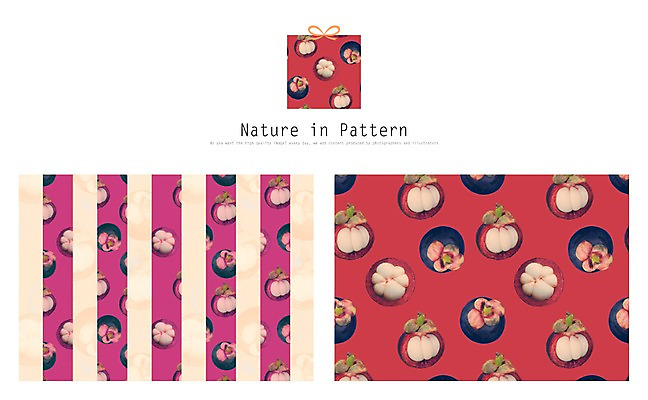 PSD 디자인 ZIP 리본 백그라운드 패턴 과일 일러스트 자연 사람없음 선물상자 열대과일 망고스틴 활용 목업 국내일러스트 컨셉 무늬 선물 상자 생태계 파일형식