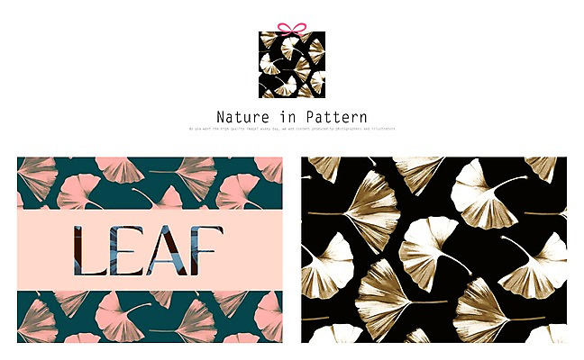 PSD 식물 디자인 ZIP 리본 백그라운드 패턴 일러스트 자연 나뭇잎 사람없음 선물상자 은행잎 활용 목업 국내일러스트 컨셉 잎 무늬 선물 상자 생태계 파일형식