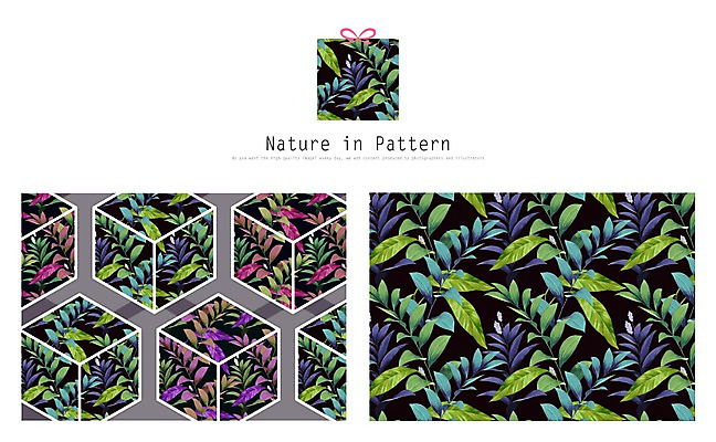 PSD 식물 디자인 ZIP 리본 백그라운드 패턴 일러스트 자연 나뭇잎 사람없음 선물상자 열대식물 활용 목업 국내일러스트 컨셉 잎 무늬 선물 상자 생태계 파일형식