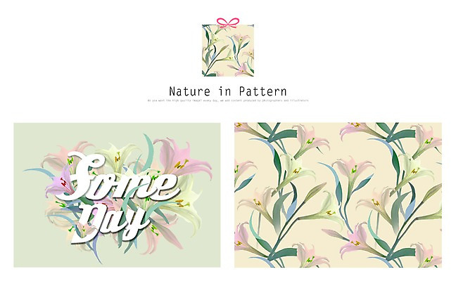 PSD 식물 디자인 꽃 ZIP 리본 백그라운드 패턴 일러스트 자연 나뭇잎 사람없음 선물상자 백합 활용 목업 국내일러스트 컨셉 잎 무늬 선물 상자 생태계 파일형식