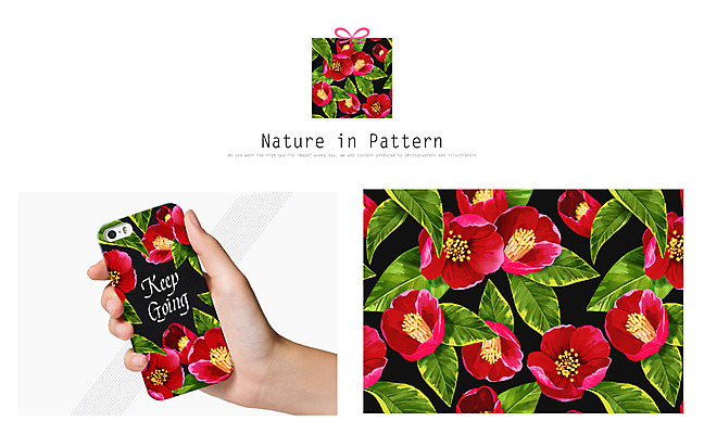 PSD 식물 손 디자인 꽃 ZIP 리본 백그라운드 패턴 일러스트 자연 나뭇잎 사람 신체부위 선물상자 스마트폰 상자 동백 활용 목업 스마트폰케이스 국내일러스트 컨셉 잎 무늬 선물 핸드폰 스마트기기 생태계 파일형식