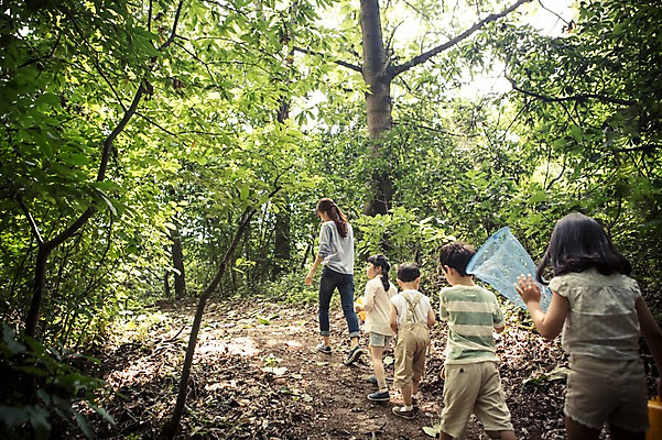 포토 JPG 주간 전신 나무 식물 라이프스타일 여자 남자 어린이라이프 어린이 모션 자연 사람 동양인 여러명 성인 야외 뒷모습 걷기 교사 유치원 유치원생 한국인 체험학습 체험 숲 채집망 국내포토 자연요소 직업 교육 뷰포인트 다수 컨셉 인종 생활 생태계 파일형식