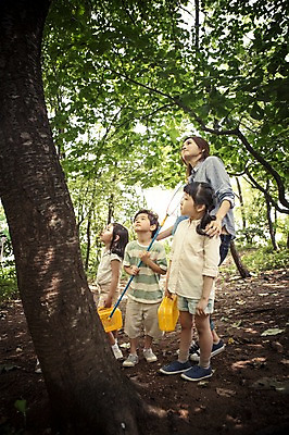 포토 JPG 주간 전신 나무 식물 라이프스타일 여자 남자 어린이라이프 어린이 모션 자연 서기 사람 동양인 여러명 성인 야외 앞모습 옆모습 유치원 유치원생 한국인 체험학습 체험 국내포토 자연요소 교육 뷰포인트 다수 컨셉 인종 생활 생태계 파일형식