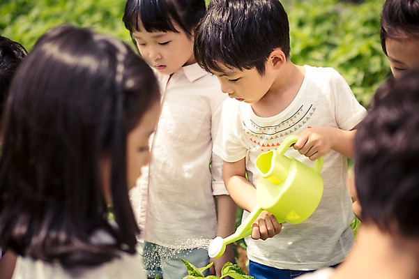 포토 JPG 주간 라이프스타일 여자 남자 어린이라이프 어린이 모션 서기 들기 사람 동양인 여러명 상반신 야외 앞모습 농작물 농장 유치원 유치원생 물뿌리개 한국인 체험학습 체험 어린이만 국내포토 자연요소 교육 뷰포인트 다수 컨셉 농업 인종 생활 파일형식