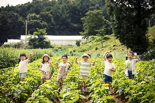 포토 JPG 주간 전신 라이프스타일 여자 남자 어린이라이프 어린이 모션 서기 사람 동양인 여러명 야외 앞모습 농작물 농장 유치원 유치원생 한국인 체험학습 체험 손인사 어린이만 국내포토 자연요소 교육 뷰포인트 다수 컨셉 농업 인종 생활 인사 파일형식