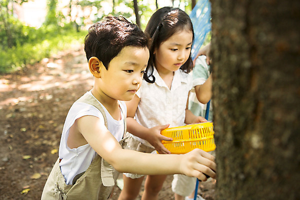 포토 JPG 주간 나무 식물 라이프스타일 여자 남자 어린이라이프 어린이 모션 서기 들기 사람 동양인 상반신 야외 두명 앞모습 유치원 유치원생 한국인 체험학습 체험 숲 채집통 어린이만 국내포토 자연요소 교육 뷰포인트 컨셉 통 인종 생활 파일형식