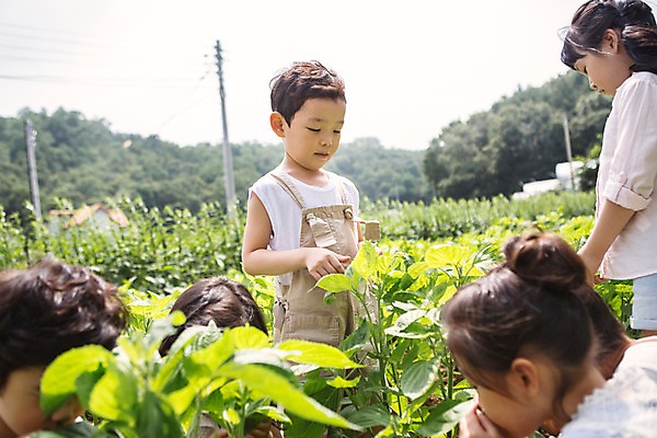 포토 JPG 주간 식물 라이프스타일 여자 남자 어린이라이프 어린이 잎 모션 서기 사람 앉기 동양인 여러명 상반신 야외 앞모습 유치원 유치원생 한국인 체험학습 체험 텃밭 어린이만 국내포토 자연요소 교육 뷰포인트 다수 컨셉 밭 인종 생활 파일형식