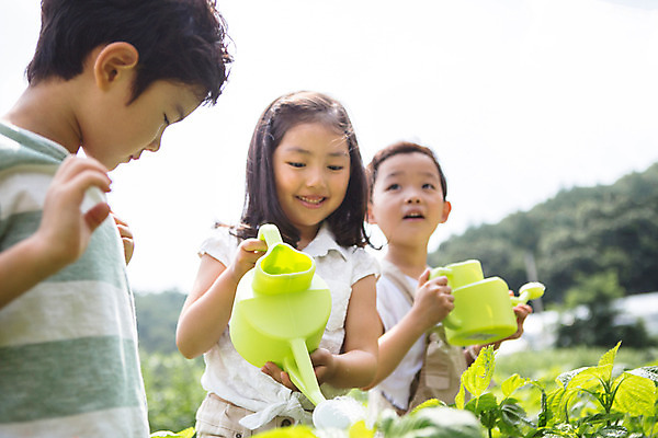 포토 JPG 주간 라이프스타일 여자 남자 어린이라이프 어린이 모션 서기 들기 사람 동양인 상반신 야외 세명 유치원 유치원생 물뿌리개 한국인 체험학습 체험 물주기 어린이만 국내포토 자연요소 교육 컨셉 인종 생활 파일형식